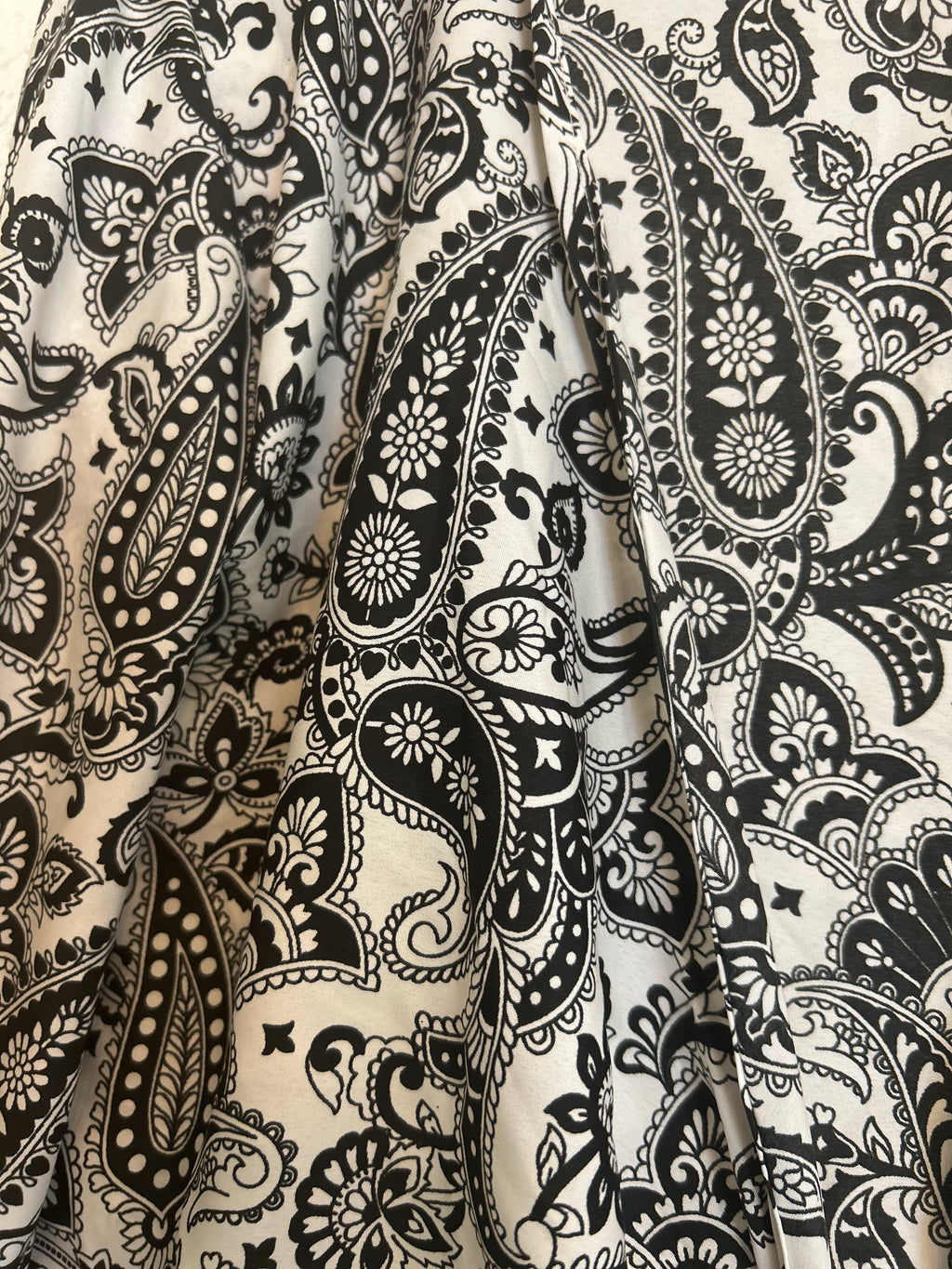 Paisley n Silk Crop Top and Shorts Set